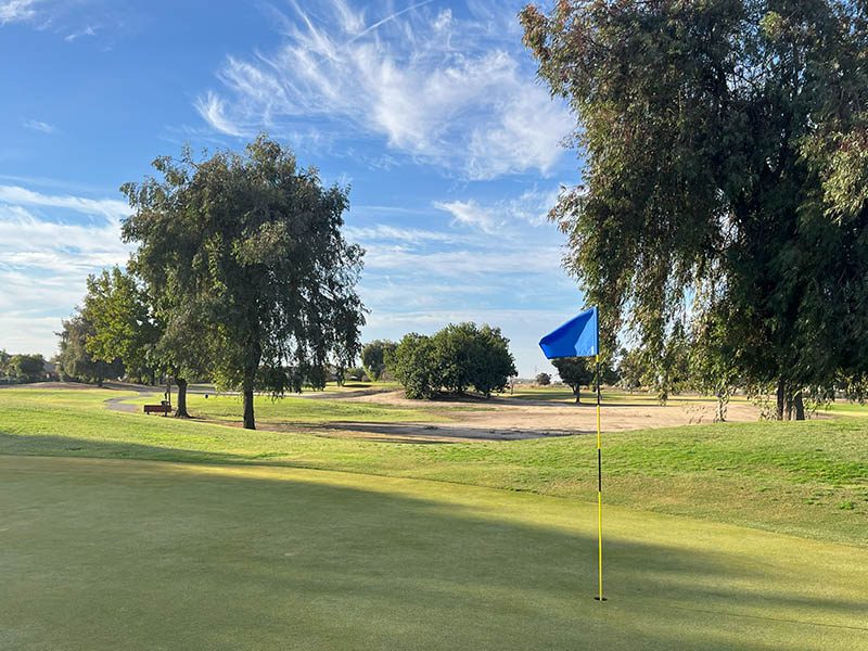 Putting green with blue flag, mature trees, and sunny fairway views at Lemoore Golf Course.