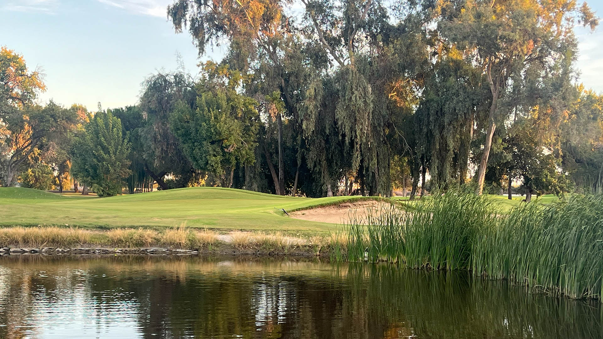 Green complex at Lemoore Golf Course with pond, reeds, sand bunker, and mature trees in Lemoore, California.