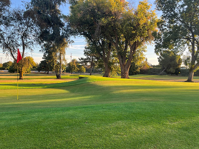 Red flag on a Lemoore Golf Course green surrounded by mature trees and late-afternoon light.