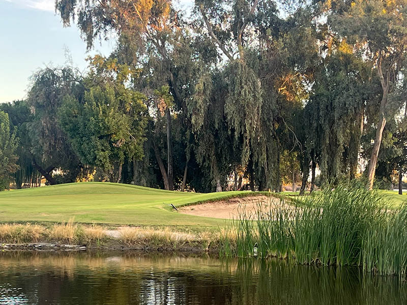 Green complex at Lemoore Golf Course with pond, reeds, sand bunker, and mature trees in Lemoore, California.
