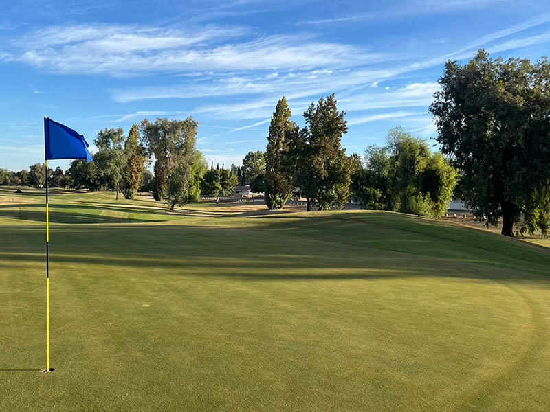 Blue flag on a Lemoore Golf Course green with rolling fairway, trees, and clear Central California sky.
