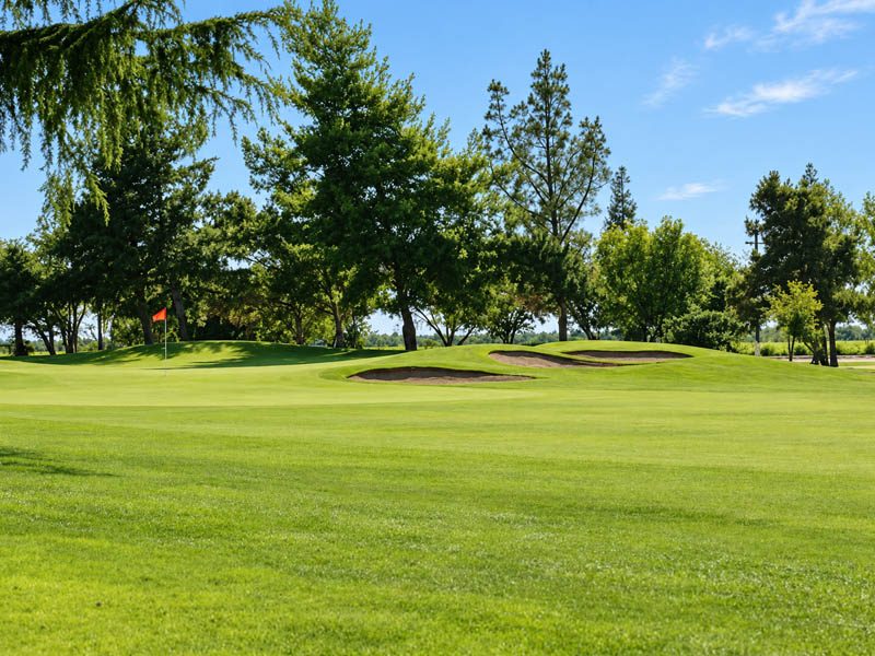 Green with bunkers and trees at Madera Municipal Golf Course in Madera, CA.