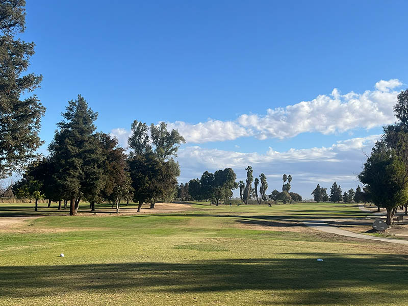 Tree-lined golf hole with open fairway at Madera Municipal Golf Course.