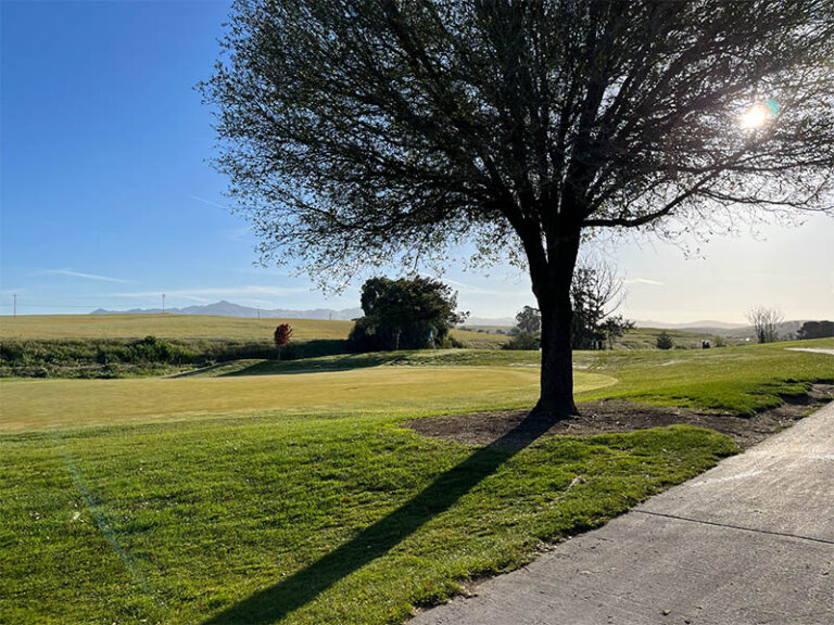 Ridgemark Golf Club & Resort green bordered by a large tree, cart path, and open countryside.