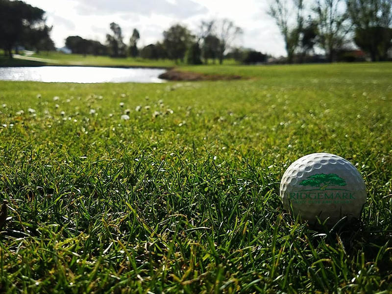 Ridgemark Golf Club & Resort logo golf ball in the grass near a pond on the course.
