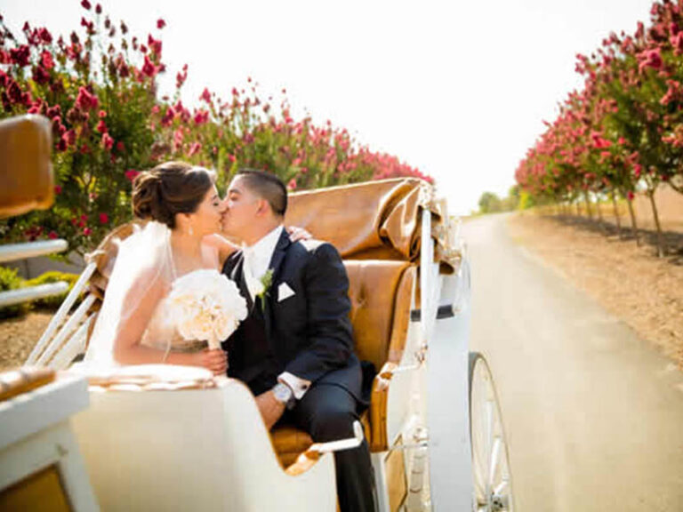 Bride and groom kissing in a horse-drawn carriage on a tree-lined road after their wedding.